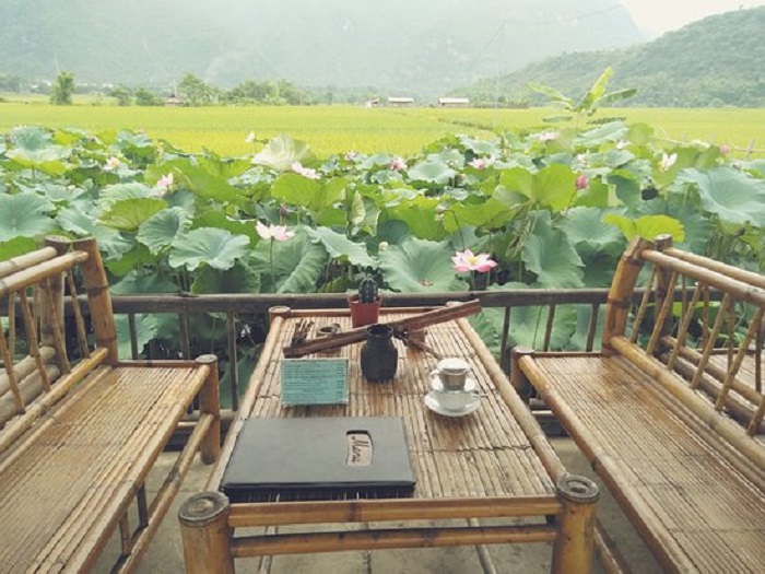 Nhâm nhi tách cafe bên hồ sen tại Mai Châu 